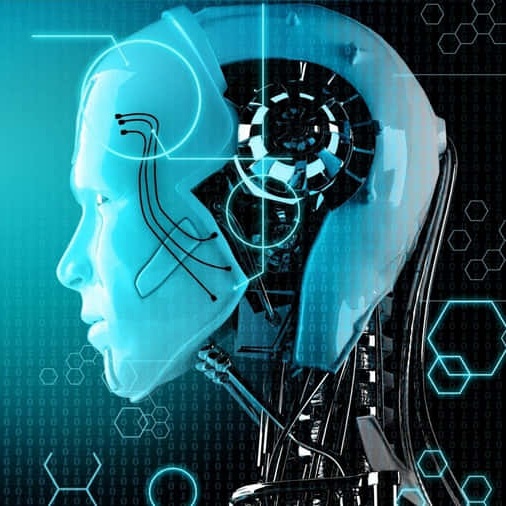 Bottom Image Missing